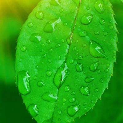 皇冠体育安卓app